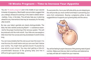 18 Weeks Pregnant – Time to Increase Your Appetite

You are 18 weeks pregnant and in the middle of your second            To overcome this, lie on your left side while you are sleeping as
trimester of pregnancy. Most health care providers suggest that       this will provide you more comfort and helps in preventing your
you undergo ultrasound scanning in this week to detect abnor-         veins form compression. Buying a pregnancy pillow is also
-malities, if any, in the baby. This will also help you in planning   suggestible as it supports your growing belly and the uterus.
ahead for any interventions that may be necessary for the baby
after its birth.
By now, your baby’s genitals are clearly distinguishable. The
baby has also started producing Myelin – a substance essen-
-tial for the proper functioning of the nervous system. This will
be produced until the ninth month. Your little one now weighs a
little more than five ounces and may be between 5 and 6 inches
long.

You can now probably feel the uterus just near the navel. It is
now the size of a small melon and you can even feel it below
your tummy. You might have gained around 15 pounds by
now which is just normal. You may start getting a little bit          You will be feeling hungrier because of the growing need of good
uncomfortable because of the growing belly and find it                nutrition. Make sure that your diet is nutritious and balanced as
difficult to get a good night sleep.                                  our baby will take all it needs from your reserves.
 