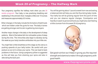 Week 20 of Pregnancy – The Halfway Mark

Your pregnancy signifies the halfway mark when you are 20             You will be gaining about 1 pound a week from now and eating
weeks pregnant. Your baby is now practicing breathing and             a balanced diet will help you and the flourishing baby inside.
swallowing in the amniotic fluid. It weighs a little over 10 ounces   Your belly too will be growing regular form this point of time
and measures approximately 6.5 inches.                                and you can observe regular changes. Constipation and
                                                                      heartburn seem to persist still and you might also start feeling
Other changes in the baby include the formation of teeth buds         a little clumsier from this week 20 of pregnancy.
 which are hidden under the gums for now. The baby’s bones
are getting stronger and his skin is gathering more layers

Another major change in the baby is the development of sleep
patterns. Most of the babies fall into noticeable cycles of sleep
during this time. The immunities also begin to develop during
this week as your body transfers antibodies into your little one.

You might feel a little breathless at this stage as the uterus is
pushing upwards at your belly button. Be careful with your
posture so as not to stress your spine. This can lead to back
problems in the future. Using a pregnancy pillow is suggested         Get good nutrition as it helps in giving you the required
as this will help you from straining your spine and also in           strength and stamina to make it through pregnancy with
alleviating the back pain.                                            good health.
 