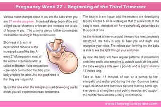 Pregnancy Week 27 – Beginning of the Third Trimester

Various major changes occur in you and the baby when you        The baby’s brain tissue and the neurons are developing
are 27 weeks pregnant. Increased sleep deprivation and          rapidly and his brain is working as that of a newborn. If the
weight cause shortness of breath and increase the levels        baby is male, the testes will have completely descended by
of fatigue in you. The growing uterus further compresses        this point of time.
the bladder resulting in frequent urination.                    As the network of nerves around the ears has now completely
Shortness of breath is                                          developed, the baby is able to hear you and might also
experienced because of the                                      recognize your voice. The retinas start forming and the baby
increased size of the bay. At                                   is able to see the light through your abdomen.
week 27 of pregnancy, most of                                   By now, the baby will have regular patterns of movements
the women experience what is                                    and sleep and is also sensitive to outside touch. At this point,
called as Braxton hicks contractions                            the baby weighs a little over 2 pounds and is approximately
– pre-labor contraction that help your                          15 inches long.
body prepare for labor. And the good news is
                                                                Take at least 15 minutes of rest or a catnap to feel
that they are not painful.
                                                                energetic and recharged during the day. Continue taking
This is the time when the milk glands start developing due to   a well-balanced and nutritious diet and practice some light
which, you will experience breast tenderness.                   exercises to strengthen your pelvis muscles and support
                                                                the bladder to overcome urinary incontinence.
 