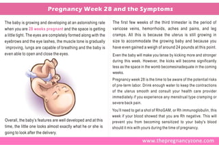 Pregnancy Week 28 and the Symptoms

The baby is growing and developing at an astonishing rate       The first few weeks of the third trimester is the period of
when you are 28 weeks pregnant and the space is getting         varicose veins, hemorrhoids, aches and pains, and leg
a little tight. The eyes are completely formed along with the   cramps. All this is because the uterus is still growing in
eyebrows and the eye lashes, the muscle tone is gradually       size to accommodate the growing baby and because you
 improving, lungs are capable of breathing and the baby is      have even gained a weigh of around 24 pounds at this point.
even able to open and close the eyes.                           Even the baby will make you tense by kicking more and stronger
                                                                during this week. However, the kicks will become significantly
                                                                less as the space in the womb becomesinadequate in the coming
                                                                weeks.
                                                                Pregnancy week 28 is the time to be aware of the potential risks
                                                                of pre-term labor. Drink enough water to keep the contractions
                                                                of the uterus smooth and consult your health care provider
                                                                immediately if you experience any menstrual type cramping or
                                                                severe back pain.
                                                                You’ll need to get a shot of RhoGAM, or Rh immunoglobulin, this
                                                                week if your blood showed that you are Rh negative. This will
Overall, the baby’s features are well developed and at this     prevent you from becoming sensitized to your baby's blood
time, the little one looks almost exactly what he or she is     should it mix with yours during the time of pregnancy.
going to look after the delivery.
 
