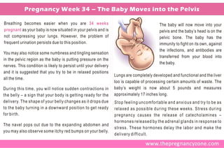 Pregnancy Week 34 – The Baby Moves into the Pelvis

Breathing becomes easier when you are 34 weeks                                            The baby will now move into your
pregnant as your baby is now situated in your pelvis and is                               pelvis and the baby’s head is on the
not compressing your lungs. However, the problem of                                       pelvic bone. The baby has the
frequent urination persists due to this position.                                         immunity to fight on its own, against
                                                                                          the infections, and antibodies are
You may also notice some numbness and tingling sensation
                                                                                          transferred from your blood into
in the pelvic region as the baby is putting pressure on the
                                                                                          the baby.
nerves. This condition is likely to persist until your delivery
and it is suggested that you try to be in relaxed positions
                                                                  Lungs are completely developed and functional and the liver
all the time.
                                                                  too is capable of processing certain amounts of waste. The
During this time, you will notice sudden contractions in          baby’s weight is now about 5 pounds and measures
the belly – a sign that your body is getting ready for the        approximately 17 inches long.
delivery. The shape of your belly changes as it drops due         Stop feeling uncomfortable and anxious and try to be as
to the baby turning in a downward position to get ready           relaxed as possible during these weeks. Stress during
for birth.                                                        pregnancy causes the release of catecholamines –
                                                                  hormones released by the adrenal glands in response to
The navel pops out due to the expanding abdomen and
                                                                  stress. These hormones delay the labor and make the
you may also observe some itchy red bumps on your belly.
                                                                  delivery difficult.
 