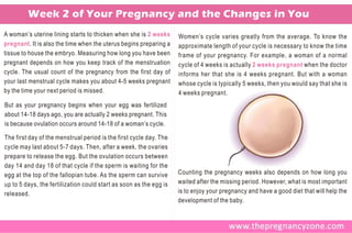 Week 2 of Your Pregnancy and the Changes in You
A woman’s uterine lining starts to thicken when she is 2 weeks      Women’s cycle varies greatly from the average. To know the
pregnant . It is also the time when the uterus begins preparing a   approximate length of your cycle is necessary to know the time
tissue to house the embryo. Measuring how long you have been        frame of your pregnancy. For example, a woman of a normal
pregnant depends on how you keep track of the menstruation          cycle of 4 weeks is actually 2 weeks pregnant when the doctor
cycle. The usual count of the pregnancy from the first day of       informs her that she is 4 weeks pregnant. But with a woman
your last menstrual cycle makes you about 4-5 weeks pregnant        whose cycle is typically 5 weeks, then you would say that she is
by the time your next period is missed.                             4 weeks pregnant.
But as your pregnancy begins when your egg was fertilized
about 14-18 days ago, you are actually 2 weeks pregnant. This
is because ovulation occurs around 14-18 of a woman’s cycle.

The first day of the menstrual period is the first cycle day. The
cycle may last about 5-7 days. Then, after a week, the ovaries
prepare to release the egg. But the ovulation occurs between
day 14 and day 18 of that cycle if the sperm is waiting for the
egg at the top of the fallopian tube. As the sperm can survive      Counting the pregnancy weeks also depends on how long you
up to 5 days, the fertilization could start as soon as the egg is   waited after the missing period. However, what is most important
released.                                                           is to enjoy your pregnancy and have a good diet that will help the
                                                                    development of the baby.
 