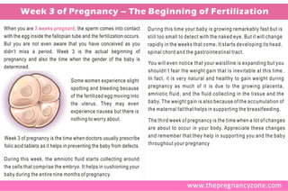 Week 3 of Pregnancy – The Beginning of Fertilization
When you are 3 weeks pregnant , the sperm comes into contact           During this time your baby is growing remarkably fast but is
with the egg inside the fallopian tube and the fertilization occurs.   still too small to detect with the naked eye. But it will change
But you are not even aware that you have conceived as you              rapidly in the weeks that come. It starts developing its head,
didn’t miss a period. Week 3 is the actual beginning of                spinal chord and the gastrointestinal tract.
pregnancy and also the time when the gender of the baby is
                                                                       You will even notice that your waistline is expanding but you
determined.
                                                                       shouldn’t fear the weight gain that is inevitable at this time.
                                 Some women experience slight          In fact, it is very natural and healthy to gain weight during
                                 spotting and bleeding because         pregnancy as much of it is due to the growing placenta,
                                 of the fertilized egg moving into     amniotic fluid, and the fluid collecting in the tissue and the
                                 the uterus. They may even             baby. The weight gain is also because of the accumulation of
                                 experience nausea but there is        the maternal fat that helps in supporting the breastfeeding.
                                 nothing to worry about.               The third week of pregnancy is the time when a lot of changes
                                                                       are about to occur in your body. Appreciate these changes
Week 3 of pregnancy is the time when doctors usually prescribe         and remember that they help in supporting you and the baby
folic acid tablets as it helps in preventing the baby from defects.    throughout your pregnancy

During this week, the amniotic fluid starts collecting around
the cells that comprise the embryo. It helps in cushioning your
baby during the entire nine months of pregnancy.
 
