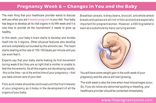 Pregnancy Week 6 – Changes in You and the Baby
The main thing that your healthcare provider wants to discuss           Breakfast cereals, kidney beans, broccoli, and whole wheat
with you when you are 6 weeks pregnant is your diet. Your baby          breads and pastas are all rich in folic acid and are especially
has begun to develop all its vital organs in its fifth week and it is   important for pregnant woman. However, a 400 mcg tablet is
now time to provide all the nourishment it needs to grow up             seen as a substitute by many carrying women.
healthy.

In this week, your baby’s brain starts to develop and divides
itself into its 3 regions. Other physical features also develop
and are completely surrounded by the amniotic sac. The heart
starts beating at the rate of 100-150 beats per minute and you
can even feel it.

Experts say that your baby starts making its first movement
during week 6 but they are so light that a mother is unable to
feel the movements. As all the organs are developing rapidly,
 this is the time – as is the entire time of your pregnancy – that      You will have some weight gain in the sixth week of your
you take utmost care of your diet.                                      pregnancy and the uterus will start growing.
                                                                        The sixth week is also the time when most miscarriages occur.
Folic acid intake should be continued until the first trimester
                                                                        So, if you do notice any abnormal spotting or bleeding, your
of your pregnancy as it helps in the development of all the
                                                                        healthcare provider should be contacted immediately.
organs of your baby.
 