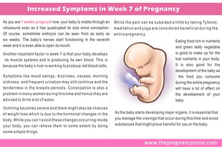 Increased Symptoms in Week 7 of Pregnancy
As you are 7 weeks pregnant now, your baby is visible through an   W h i l e t h e p a i n c a n b e s u b s i d e d a l i t t l e b y t a k i n g Ty l e n o l ,
ultrasound scan as it has quadrupled its size since conception.    meditation and yoga are considered beneficial during the
Of course, sometimes embryos can be seen from as early as          e n t i r e p r e g n a n c y.
six weeks. The baby’s nerves start functioning in the seventh                                                             Eating food rich in nutrients
week and it is even able to open its mouth.                                                                               and green leafy vegetable
Another important factor in week 7 is that your baby develops                                                             is good to make up for the
 its muscle systems and is producing its own blood. This is                                                               lost nutrients in your body.
because the baby’s liver is working to produce red blood cells.                                                           It is also good for the
                                                                                                                          development of the baby as
Symptoms like mood swings, dizziness, nausea, morning                                                                       the food you consume
sickness, and frequent urination may still continue and the                                                               during the entire pregnancy
tenderness in the breasts persists. Constipation is also a                                                                will have a lot of effect on
problem in many women during this time and hence they are                                                                 the development of your
advised to drink a lot of water.                                                                                          baby.
Vomiting becomes severe and there might also be chances
of weight loss which is due to the hormonal changes in the         As the baby starts developing major organs, it is essential that
body. While you can’t avoid these changes occurring inside         you manage the cravings that occur during this time and avoid
your body, you can relieve them to some extent by doing            substances that might prove harmful for you or the baby.
some simple things.
 