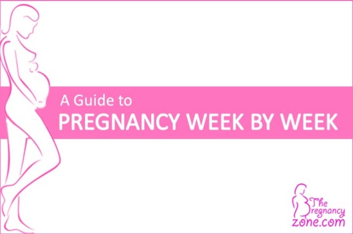 Week By Week Pregnancy Guide Printable Week by week pregnancy guide printable