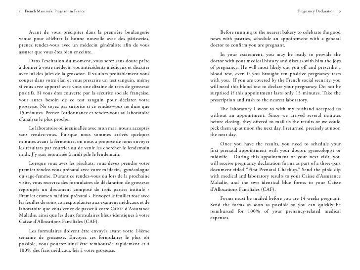 French Mamma's Pregnant in France First 2 Chapters