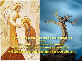 Con la esperanza de todos los pobres de Israel,  de todos los pobres del mundo, susurra María su palabra de acogida:  «Hágase en mí según tu palabra». 