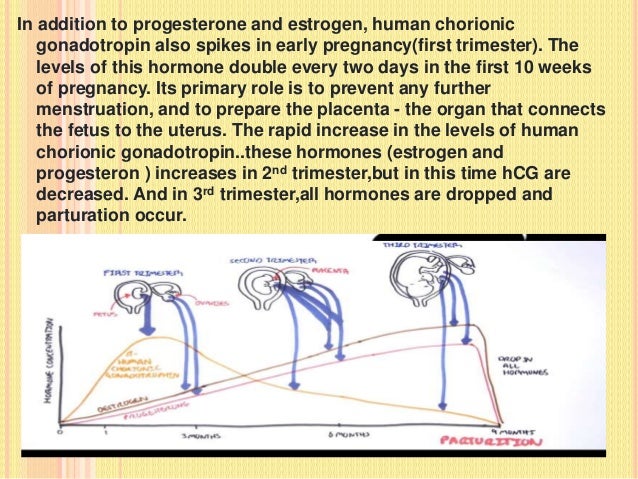 hormonal control of pregnancy