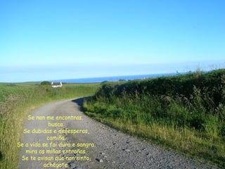 Se non me encontras,
busca.
Se dubidas e desesperas,
camiña.
Se a vida se fai dura e sangra,
mira as miñas entrañas.
Se te avisan que non sinto,
achégate.
 