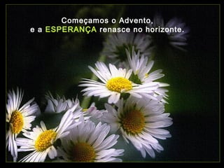Começamos o Advento,
e a ESPERANÇA renasce no horizonte.

 