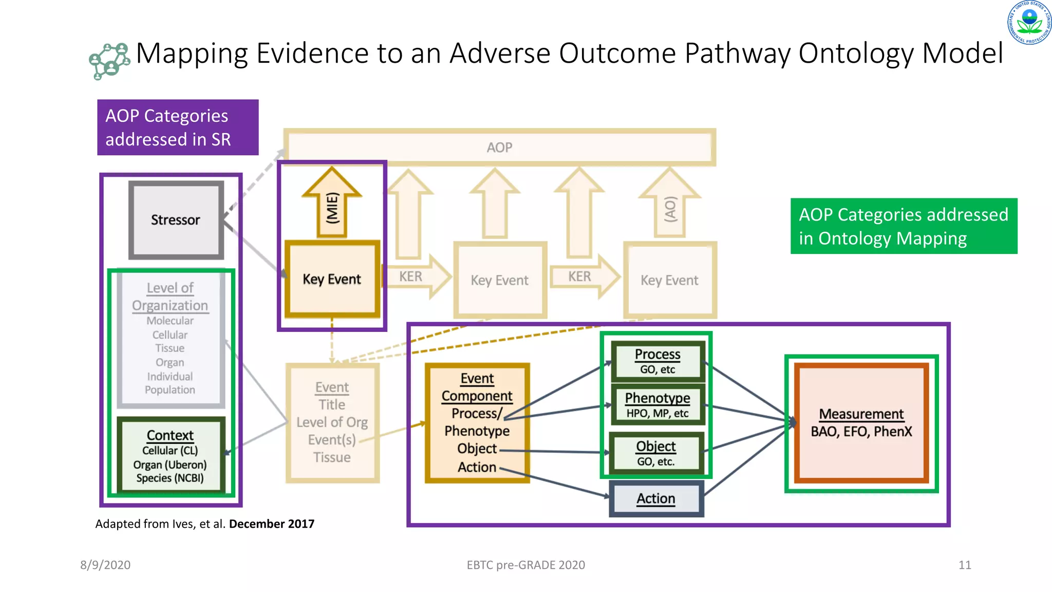 8/9/2020 EBTC pre-GRADE 2020 11
Mapping Evidence to an Adverse Outcome Pathway Ontology Model
Adapted from Ives, et al. December 2017
AOP Categories
addressed in SR
AOP Categories addressed
in Ontology Mapping
 