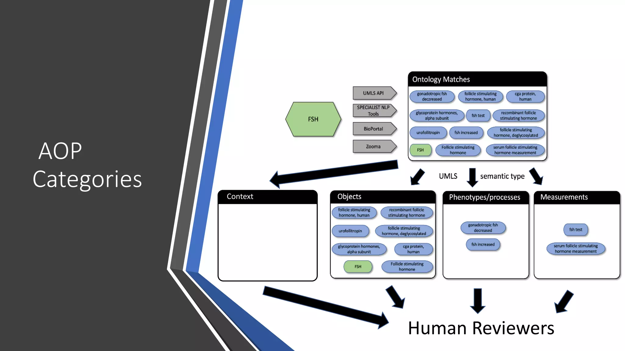 AOP
Categories
Human Reviewers
Context
 