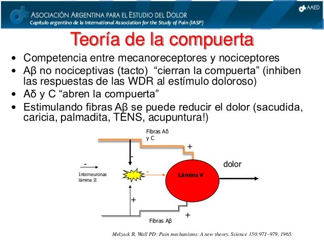 Dolor: Anatomía y Fisiología