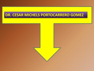 DR. CESAR MICHELS PORTOCARRERO GOMEZ
 