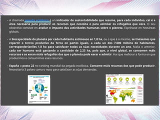 2º BACH. Repercusións ambientais da acción humana: contaminación; quecemento global; pegada ecolóxica