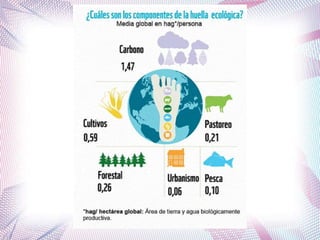 2º BACH. Repercusións ambientais da acción humana: contaminación; quecemento global; pegada ecolóxica