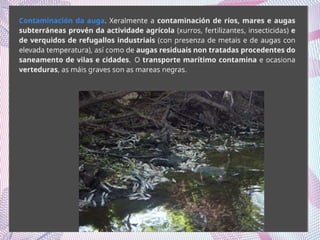 2º BACH. Repercusións ambientais da acción humana: contaminación; quecemento global; pegada ecolóxica