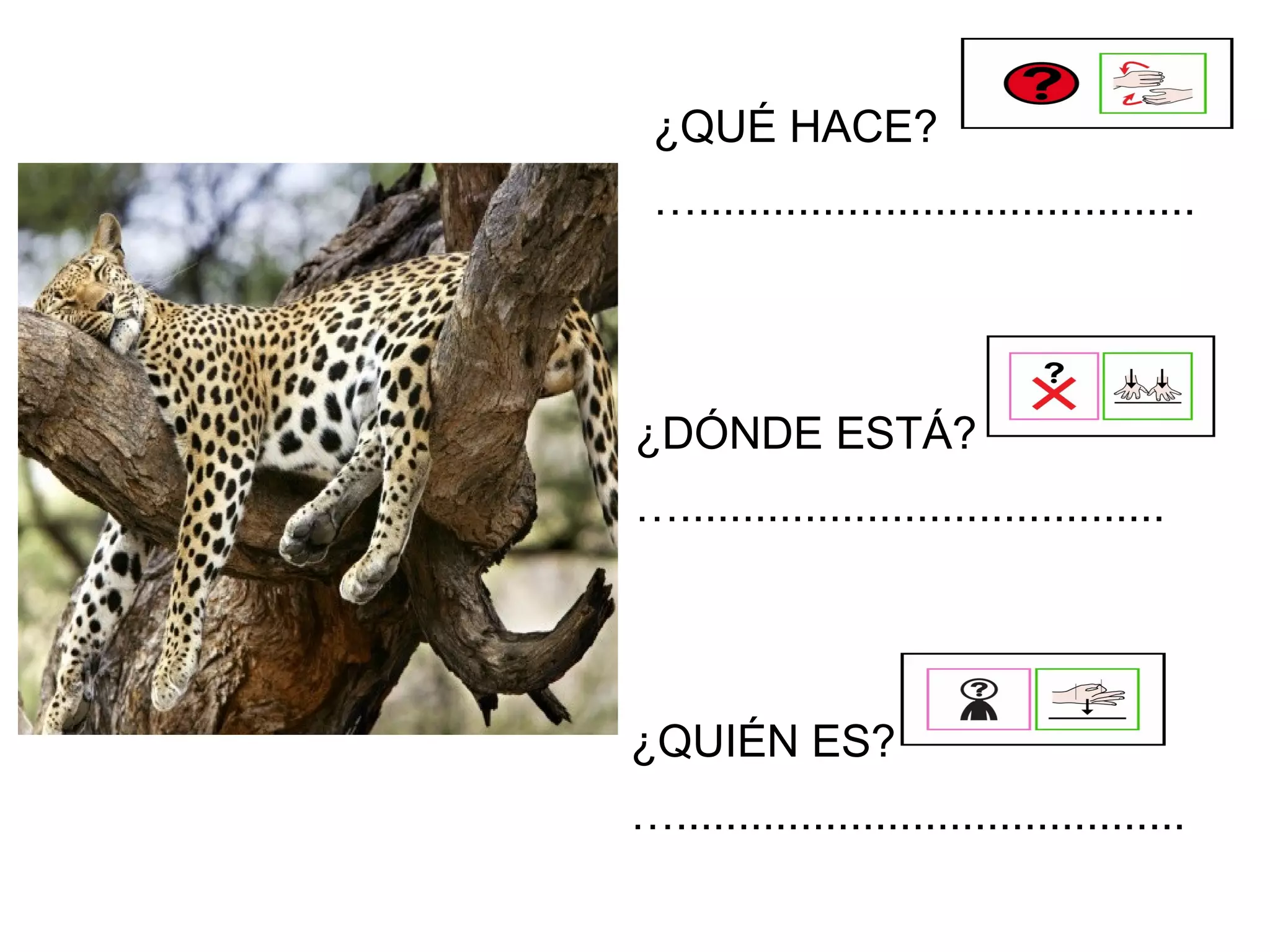¿DÓNDE ESTÁ?
….......................................
¿QUIÉN ES?
….........................................
¿QUÉ HACE?
…........................................
 