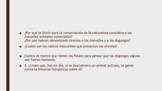 ■ ¿Por qué la Unión para la conservación de la naturaleza considera a los
manatíes animales vulnerables?
¿Por qué habrán denominado sirenios a los manatíes y a los dugongos?
■ ¿Cuáles son los rastros masculinos que presentan los sirenios?
■ Explica el motivo que tienen los Palaos para pensar que los dugongos alguna
vez fueron humanos.
■ 5. ¿Creen que, hoy en día, si se descubriera un animal extraño, la gente
contaría historias fantásticas sobre él?
 