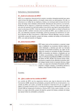 PREGUNTAS SOBRE EL APEC - PERÚ 2008