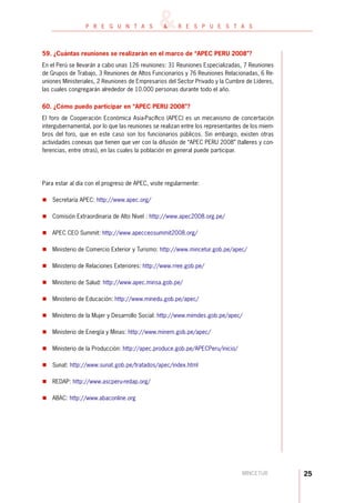 PREGUNTAS SOBRE EL APEC - PERÚ 2008