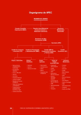 PREGUNTAS SOBRE EL APEC - PERÚ 2008