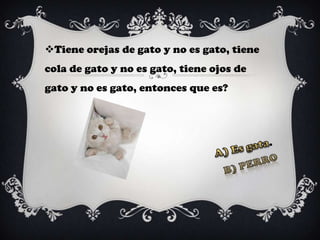 Tiene orejas de gato y no es gato, tiene
cola de gato y no es gato, tiene ojos de
gato y no es gato, entonces que es?
 