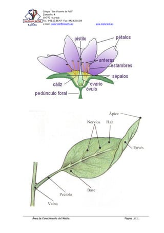 Colegio “San Vicente de Paúl”
Zamanillo, 4
39.770 – Laredo
Tel.: 942.60.55.47- Fax: 942.62.81.09
e-mail: svplaredo@planalfa.es www.svplaredo.es
Área de Conocimiento del Medio. Página ../12/..
 