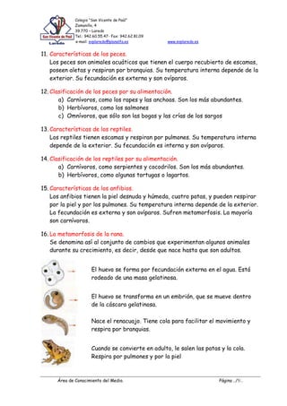 Colegio “San Vicente de Paúl”
Zamanillo, 4
39.770 – Laredo
Tel.: 942.60.55.47- Fax: 942.62.81.09
e-mail: svplaredo@planalfa.es www.svplaredo.es
Área de Conocimiento del Medio. Página ../5/..
11. Características de los peces.
Los peces son animales acuáticos que tienen el cuerpo recubierto de escamas,
poseen aletas y respiran por branquias. Su temperatura interna depende de la
exterior. Su fecundación es externa y son ovíparos.
12. Clasificación de los peces por su alimentación.
a) Carnívoros, como los rapes y las anchoas. Son los más abundantes.
b) Herbívoros, como los salmones
c) Omnívoros, que sólo son las bogas y las crías de los sargos
13. Características de los reptiles.
Los reptiles tienen escamas y respiran por pulmones. Su temperatura interna
depende de la exterior. Su fecundación es interna y son ovíparos.
14. Clasificación de los reptiles por su alimentación.
a) Carnívoros, como serpientes y cocodrilos. Son los más abundantes.
b) Herbívoros, como algunas tortugas o lagartos.
15. Características de los anfibios.
Los anfibios tienen la piel desnuda y húmeda, cuatro patas, y pueden respirar
por la piel y por los pulmones. Su temperatura interna depende de la exterior.
La fecundación es externa y son ovíparos. Sufren metamorfosis. La mayoría
son carnívoros.
16. La metamorfosis de la rana.
Se denomina así al conjunto de cambios que experimentan algunos animales
durante su crecimiento, es decir, desde que nace hasta que son adultos.
El huevo se forma por fecundación externa en el agua. Está
rodeado de una masa gelatinosa.
El huevo se transforma en un embrión, que se mueve dentro
de la cáscara gelatinosa.
Nace el renacuajo. Tiene cola para facilitar el movimiento y
respira por branquias.
Cuando se convierte en adulto, le salen las patas y la cola.
Respira por pulmones y por la piel
 