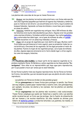 Colegio “San Vicente de Paúl”
Zamanillo, 4
39.770 – Laredo
Tel.: 942.60.55.47- Fax: 942.62.81.09
e-mail: svplaredo@planalfa.es www.svplaredo.es
Área de Conocimiento del Medio. Página ../9/..
Las plantas más conocidas de las que no tienen flores son
Musgos: son las plantas terrestres más primitivas y con forma más sencilla.
Son unos vegetales pequeños que habitan en lugares muy húmedos y sombríos,
pues no toleran el sol directo. Los encontramos en la tierra, bajo la sombra de
bosques húmedos, tapizando cortezas de árboles o rocas lisas; pero siempre
en zonas de umbría.
Helechos: también son vegetales muy antiguos. Hace 300 millones de años
los helechos eran mucho más abundantes que ahora. Algunos eran tan grandes
como enormes árboles y formaban auténticos bosques. Sus restos putrefac-
tos y enterrados han dado lugar, con el paso de millones de años, al carbón.
También necesitan vivir en zonas muy húmedas y frescas.
Algas: son un grupo de vegetales que viven dentro del agua. Muchos cientí-
ficos dudan que pertenezcan al reino vegetal, pues no presentan todas las ca-
racterísticas y funciones de los vegetales. De las algas proceden el resto de
las plantas. Fueron el origen de los vegetales porque, con el paso de millones
de años, algunas especies enraizaron en la tierra dando lugar a otros vegeta-
les como los musgos y helechos.
PLANTAS CON FLORES: La mayor parte de las especies vegetales se re-
produce mediante flores. En Botánica a estos vegetales se les llama plantas "fa-
nerógamas". Para ellas no es imprescindible que haya agua para reproducirse,
por lo que pueden crecer por zonas que no sean húmedas.
En las flores la planta tiene sus órganos reproductores. De las flores se forman
los frutos y las semillas, que son necesarias para que una planta de esta clase se
reproduzca.
Las plantas con flores se dividen en dos grandes grupos:
Las gimnospermas no tienen frutos para proteger la semilla. Sus flores
son muy simples y suelen pasar inadvertidas a nuestra vista. Son gimnospermas,
por ejemplo, los pinos, los abetos y los cipreses. Son las plantas con semillas
más antiguas.
Las angiospermas son las plantas más recientes y más evolucionadas.
Tienen flores complejas que suelen ser llamativas a nuestra vista. Las semillas
están recubiertas por un fruto que las protege. Son la fuente de alimentación
del ser humano y de muchos mamíferos. De ellas también se obtiene gran
número de materias primas y productos naturales. Los jazmines, los rosales, el
trigo y la encina son angiospermas.
 