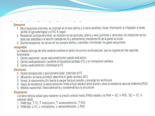 CARDIOLOGIA 26
 
