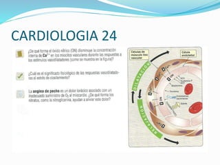 CARDIOLOGIA 24
 