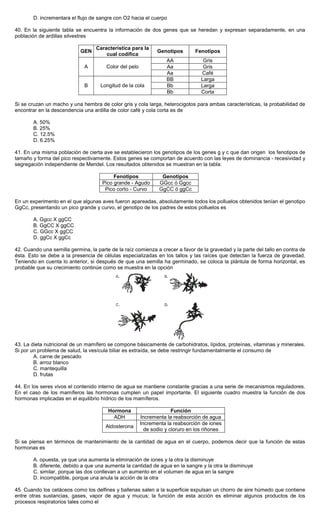 D. incrementara el flujo de sangre con O2 hacia el cuerpo
40. En la siguiente tabla se encuentra la información de dos genes que se heredan y expresan separadamente, en una
población de ardillas silvestres
GEN
Característica para la
cual codifica
Genotipos Fenotipos
AA Gris
Aa GrisA Color del pelo
Aa Café
BB Larga
Bb LargaB Longitud de la cola
Bb Corta
Si se cruzan un macho y una hembra de color gris y cola larga, heterocigotos para ambas características, la probabilidad de
encontrar en la descendencia una ardilla de color café y cola corta es de
A. 50%
B. 25%
C. 12.5%
D. 6.25%
41. En una misma población de cierta ave se establecieron los genotipos de los genes g y c que dan origen los fenotipos de
tamaño y forma del pico respectivamente. Estos genes se comportan de acuerdo con las leyes de dominancia - recesividad y
segregación independiente de Mendel. Los resultados obtenidos se muestran en la tabla:
Fenotipos Genotipos
Pico grande - Agudo GGcc ó Ggcc
Pico corto - Curvo GgCC ó ggCc
En un experimento en el que algunas aves fueron apareadas, absolutamente todos los polluelos obtenidos tenían el genotipo
GgCc, presentando un pico grande y curvo, el genotipo de los padres de estos polluelos es
A. Ggcc X ggCC
B. GgCC X ggCC
C. GGcc X ggCC
D. ggCc X ggCc
42. Cuando una semilla germina, la parte de la raíz comienza a crecer a favor de la gravedad y la parte del tallo en contra de
ésta. Esto se debe a la presencia de células especializadas en los tallos y las raíces que detectan la fuerza de gravedad.
Teniendo en cuenta lo anterior, si después de que una semilla ha germinado, se coloca la plántula de forma horizontal, es
probable que su crecimiento continúe como se muestra en la opción
43. La dieta nutricional de un mamífero se compone básicamente de carbohidratos, lípidos, proteínas, vitaminas y minerales.
Si por un problema de salud, la vesícula biliar es extraída, se debe restringir fundamentalmente el consumo de
A. carne de pescado
B. arroz blanco
C. mantequilla
D. frutas
44. En los seres vivos el contenido interno de agua se mantiene constante gracias a una serie de mecanismos reguladores.
En el caso de los mamíferos las hormonas cumplen un papel importante. El siguiente cuadro muestra la función de dos
hormonas implicadas en el equilibrio hídrico de los mamíferos.
Hormona Función
ADH Incrementa la reabsorción de agua
Aldosterona
Incrementa la reabsorción de iones
de sodio y cloruro en los riñones
Si se piensa en términos de mantenimiento de la cantidad de agua en el cuerpo, podemos decir que la función de estas
hormonas es
A. opuesta, ya que una aumenta la eliminación de iones y la otra la disminuye
B. diferente, debido a que una aumenta la cantidad de agua en la sangre y la otra la disminuye
C. similar, porque las dos conllevan a un aumento en el volumen de agua en la sangre
D. incompatible, porque una anula la acción de la otra
45. Cuando los cetáceos como los delfines y ballenas salen a la superficie expulsan un chorro de aire húmedo que contiene
entre otras sustancias, gases, vapor de agua y mucus; la función de esta acción es eliminar algunos productos de los
procesos respiratorios tales como el
 