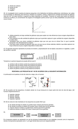 A. dióxido de carbono
B. exceso de sal
C. nitrógeno
D. oxígeno
46. Un investigador tomó muestras de plasma sanguíneo a los habitantes de distintas poblaciones colombianas, las cuáles
se encontraban en diferentes pisos térmicos. Posterior al muestreo, analizó y determinó la cantidad aproximada de glóbulos
rojos por mm
3
de cada individuo y organizó los datos obtenidos en la gráfica. Teniendo en cuenta que existe una relación
inversa en la altitud y la concentración de oxígeno el investigador podría concluir que con alta probabilidad una persona que
viva en climas
A. cálidos presenta una baja cantidad de glóbulos rojos para captar con más eficiencia el poco oxígeno disponible en
estos sitios
B. fríos presenta una alta cantidad de glóbulos rojos que le permiten capturar la gran cantidad de oxígeno disponible
en estos sitios
C. templados tiene una menor cantidad de glóbulos rojos que una que viva en climas fríos; lo que le permite
transportar más eficientemente el oxígeno
D. fríos tiene mayor cantidad de glóbulos rojos que una que viva en climas calientes; debido a que debe capturar con
mayor eficiencia el poco oxígeno disponible en estos sitios
47. El siguiente esquema representa el proceso de división y especialización de los tejidos vasculares en vegetales, a partir
del cambium vascular
Teniendo en cuenta el esquema se puede afirmar que el
A. cambium sólo se divide cuando hay presencia de xilema
B. cambium sólo se divide cuando hay presencia de floema
C. floema se genera cuando ya hay presencia de xilema
D. xilema se genera cuando ya hay presencia de floema
RESPONDA LAS PREGUNTAS 48 Y 49 DE ACUERDO CON LA SIGUIENTE INFORMACIÓN
A continuación se muestran el ciclo de vida de un alga y de un humano
48. De acuerdo con los esquemas, el estado celular en el que transcurre la mayor parte del ciclo de vida del alga y del
humano respectivamente es
A. haploide, diploide
B. diploide, diploide
C. diploide, haploide
D. haploide, haploide
49. De los ciclos de vida mostrados en los esquemas se puede inferir que
A. las células del alga en estado (n) pueden hacer meiosis para formar gametos
B. las células humanas en estado (2n) pueden hacer mitosis para formar gametos
C. ninguna célula en estado (n) puede hacer meiosis para formar gametos
D. todas las células en estado (2n) hacen mitosis para formar gametos
50.
En el esquema anterior se representa uno de los procesos fundamentales en los vegetales conocido como la respiración,
donde el componente expresado como 1 y el lugar donde ésta ocurre son respectivamente
GLUCOSA DIÓXIDO DE
CARBONO
1 1
 