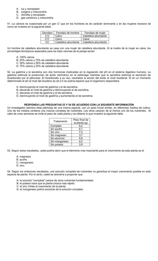 A. luz y cloroplasto
B. oxígeno y mitocondría
C. clorofila y cloroplasto
D. gas carbónico y mitocondria
51. La calvicie es ocasionada por un gen C' que en los hombres es de carácter dominante y en las mujeres recesivo tal
como se muestra en la siguiente tabla:
Genotipo Fenotipo de hombre Fenotipo de mujer
C’C Calvo Cabellera abundante
C’C’ Calvo Calva
CC Cabellera abundante Cabellera abundante
Un hombre de cabellera abundante se casa con una mujer de cabellera abundante. Si la madre de la mujer es calva, los
porcentajes fenotípicos esperados para los hijos varones de la pareja serían
A. 100% calvos.
B. 25% calvos y 75% de cabellera abundante.
C. 50% calvos y 50% de cabellera abundante.
D. 75% calvos y 25% de cabellera abundante.
52. La gastrina y la secretina son dos hormonas implicadas en la regulación del pH en el sistema digestivo humano. La
gastrina estimula la producción de ácido clorhídrico en el estómago mientras que la secretina estimula la secreción de
bicarbonato por el páncreas. El bicarbonato a su vez, neutraliza la acción del ácido al nivel duodenal. Si en un momento
determinado el pH al nivel del duodeno es de 2,5 se podría esperar que el organismo respondiera
A. disminuyendo el nivel de gastrina y el de secretina.
B. elevando el nivel de gastrina y disminuyendo el de secretina.
C. elevando el nivel de gastrina y el de secretina.
D. disminuyendo el nivel de gastrina y aumentando el de secretina.
RESPONDA LAS PREGUNTAS 53 Y 54 DE ACUERDO CON LA SIGUIENTE INFORMACIÓN
Un investigador siembra siete plántulas de una misma especie, con un peso inicial similar, en diferentes medios de cultivo.
Uno de los medios contiene una mezcla completa de nutrientes. Los otros carecen de al menos uno de los nutrientes. Al
cabo de unas semanas se mide el peso de cada planta y se obtiene lo que muestra la siguiente tabla
Tratamiento
Peso final de
la planta (g)
Completo 6,2
Sin azufre 6,1
Sin zinc 7,3
Sin magnesio 3,7
Sin aluminio 5,8
Sin manganeso 4,2
Sin potasio 3,9
53. Según estos resultados, usted podría decir que el elemento mas importante para el crecimiento de esta planta es el
A. magnesio.
B. azufre.
C. manganeso.
D. zinc.
54. Según los anteriores resultados, una solución completa de nutrientes no garantiza el mayor crecimiento posible en esta
especie de planta. Por lo tanto, usted se atrevería a proponer que
A. la solución "completa" carece de otros nutrientes fundamentales.
B. el potasio hace que la planta crezca mas rápido.
C. el zinc inhibe el crecimiento de la planta.
D. el manganeso podría excluirse de la solución completa.
 