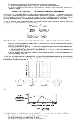 B. el tamaño de las poblaciones de sus presas disminuye haciendo difícil su búsqueda
C. el tamaño de sus presas disminuye por que disminuye la cantidad de recursos alimenticios
D. el tamaño de las poblaciones de sus presas aumenta, pero su búsqueda se hace más difícil por la alteración del
aspecto del bosque
CONTESTE LAS PREGUNTAS 10 Y 11 DE ACUERDO CON LA SIGUIENTE INFORMACIÓN
En cierta región los tramos bajos de los ríos crecen e inundan el área circundante durante 6 o 7 meses al año. El nivel del
agua se eleva hasta 10 metros dejando totalmente sumergida la vegetación baja del bosque. Las aguas se expanden hasta
20 Km. selva adentro por ambos lados del cauce. La crecida de los ríos reúne las especies del suelo con las que viven en
los árboles, pues los artrópodos y algunos vertebrados del suelo migran hacia arriba para escapar de la inundación.
10. Si en las siguientes figuras, cada óvalo representa el nicho general de cada grupo de organismos, entonces, la figura que
mejor ilustra la situación descrita durante una inundación sería.
11. La información que mejor concuerda con su respuesta anterior es que durante la inundación en la parte alta del bosque
A. se relaja la presión de predación y los dos grupos de organismos utilizan de manera diferente los recursos por lo
que hay muy poca competencia
B. hay una mayor presión de predación y los dos grupos de organismos utilizan de manera diferente los recursos,
restringiendo su espacio, por lo que hay muy poca competencia
C. hay una mayor presión de predación y una fuerte competencia por los recursos como el espacio y los alimentos
que son restringidos en esta zona
D. se relaja la presión de predación y hay una fuerte competencia por los recursos como el espacio y los alimentos
que son restringidos en esa zona
12. En la tabla se indica la presencia (+) o ausencia (-) de características compartidas entre siete especies de dinosaurios. El
esquema que mejor representa las relaciones filogenéticas (cladograma) entre las siete especies de dinosaurios y que es
más consistente con los datos de la tabla es
13.
De las siguientes opciones aquella que describe mejor lo sucedido entre los puntos A y B en las anteriores gráficas es
A. a medida que el tiempo aumenta, el tamaño de la población disminuye
B. el tamaño de la población es independiente del tiempo
C. el tiempo afecta negativamente el aumento del tamaño poblacional
 