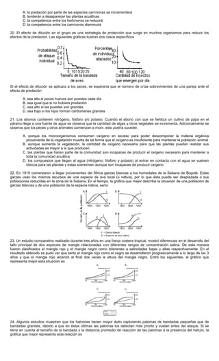 A. la predación por parte de las especies carnívoras se incrementará
B. tenderán a desaparecer las plantas acuáticas
C. la competencia entre los herbívoros se reducirá
D. la competencia entre los carnívoros disminuirá
20. El efecto de dilución en el grupo es una estrategia de protección que surge en muchos organismos para reducir los
efectos de la predación. Las siguientes gráficas ilustran dos casos específicos
Si el efecto de dilución se aplicara a los peces, se esperaría que el número de crías sobrevivientes de una pareja ante el
efecto de predación
A. sea alto si pocos huevos son puestos cada día
B. sea igual que si no hubiera predación
C. sea alto si las puestas son grandes
D. sea bajo si los hijos forman cardúmenes grandes
21. Los abonos contienen nitrógeno, fósforo y/o potasio. Cuando el abono con que se fertiliza un cultivo de papa en el
páramo llega a una fuente de agua se observa que la cantidad de algas y otros vegetales se incrementa. Adicionalmente se
observa que los peces y otros animales comienzan a morir, esto podría suceder,
A. porque los microorganismos consumen oxígeno en exceso para poder descomponer la materia orgánica
proveniente de la vegetación muerta de tal forma que el oxígeno es insuficiente para mantener la población animal
B. aunque aumenta la vegetación, la cantidad de oxígeno necesaria para que las plantas puedan realizar sus
actividades es mayor a la que producen
C. las plantas que hacen parte de la comunidad son incapaces de producir el oxígeno necesario para mantener a
toda la comunidad acuática
D. los compuestos que llegan al agua (nitrógeno, fósforo y potasio) al entrar en contacto con el agua se vuelven
tóxicos para las plantas y estas sobreviven aunque son incapaces de producir oxigeno
22. En 1910 comenzaron a llegar provenientes del África garzas blancas a los humedales de la Sabana de Bogotá. Estas
garzas usan los mismos recursos de una especie de ave local (o nativa), por lo que ésta puede ser desplazada o sus
poblaciones reducidas en la zona de la Sabana. En el tiempo, la gráfica que mejor describe la situación de una población de
garzas blancas y de una población de la especie nativa, sería
23. Un estudio comparativo realizado durante tres años en una franja costera tropical, mostró diferencias en el desarrollo del
tallo principal de dos especies de mangle relacionadas con diferentes rangos de concentración salina. De esta manera
fueron clasificados el mangle rojo y el mangle negro como tolerantes a salinidades bajas y altas respectivamente. En el
resultado obtenido se pudo ver que tanto el mangle rojo como el negro se desarrollaron progresivamente a lo largo de los 3
años y que el mangle rojo alcanzó al final dos veces la altura del mangle negro. Entre los siguientes, el gráfico que
representa mejor esta situación es
24. Algunos estudios muestran que los halcones tienen mayor éxito capturando palomas de bandadas pequeñas que de
bandadas grandes, debido a que en éstas últimas las palomas los detectan más pronto y vuelan antes del ataque. Si se
tiene en cuenta el tamaño de la bandada y la distancia promedio de reacción de las palomas a la presencia del halcón, la
gráfica que mejor representa esta relación es
 