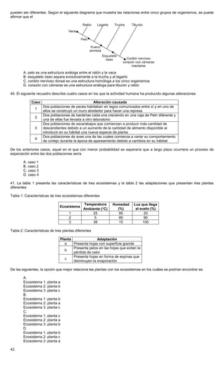 pueden ser diferentes. Según el siguiente diagrama que muestra las relaciones entre cinco grupos de organismos, se puede
afirmar que el
A. pelo es una estructura análoga entre el ratón y la vaca
B. esqueleto óseo separa evolutivamente a la trucha y al lagarto
C. cordón nervioso dorsal es una estructura homóloga a los cinco organismos
D. corazón con cámaras es una estructura análoga para tiburón y ratón
40. El siguiente recuadro describe cuatro casos en los que la actividad humana ha producido algunas alteraciones
Caso Alteración causada
1
Dos poblaciones de peces habitaban en lagos comunicados entre sí y en uno de
ellos se construyó un muro alrededor para hacer una represa
2
Dos poblaciones de bacterias cada una creciendo en una caja de Petri diferente y
una de ellas fue llevada a otro laboratorio
3
Dos poblaciones de escarabajos que comienzan a producir más cantidad de
descendientes debido a un aumento de la cantidad de alimento disponible al
introducir en su hábitat una nueva especie de planta
4
Dos poblaciones de aves una de las cuales comienza a variar su comportamiento
de cortejo durante la época de apareamiento debido a cambios en su hábitat
De los anteriores casos, aquel en el que con menor probabilidad se esperaría que a largo plazo ocurriera un proceso de
especiación entre las dos poblaciones sería
A. caso 1
B. caso 2
C. caso 3
D. caso 4
41. La tabla 1 presenta las características de tres ecosistemas y la tabla 2 las adaptaciones que presentan tres plantas
diferentes
Tabla 1: Características de tres ecosistemas diferentes
Ecosistema
Temperatura
Ambiente (°°°°C)
Humedad
(%)
Luz que llega
al suelo (%)
1 25 95 20
2 5 80 90
3 38 15 100
Tabla 2: Características de tres plantas diferentes
Planta Adaptación
a Presenta hojas con superficie grande
b
Presenta pelos en las hojas que evitan la
pérdida de calor
c
Presenta hojas en forma de espinas que
disminuyen la evaporación
De las siguientes, la opción que mejor relaciona las plantas con los ecosistemas en los cuáles se podrían encontrar es
A.
Ecosistema 1: planta a
Ecosistema 2: planta b
Ecosistema 3: planta c
B.
Ecosistema 1: planta b
Ecosistema 2: planta a
Ecosistema 3: planta c
C.
Ecosistema 1: planta c
Ecosistema 2: planta a
Ecosistema 3: planta b
D.
Ecosistema 1: planta b
Ecosistema 2: planta c
Ecosistema 3: planta a
42.
 