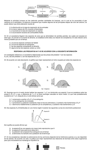 Mediante la actividad humana se han destruido grandes cantidades de bosques, con lo cual se ha acumulado el gas
carbónico en la atmósfera. Al observar el esquema que muestra algunas de las principales etapas del ciclo del carbono, se
puede deducir que dicha alteración resulta de
A. la disminución en la tasa de respiración de los animales
B. la menor captura de CO2 durante la fotosíntesis
C. el aumento en la tasa de respiración en plantas
D. la acumulación excesiva de combustibles fósiles
43. En un ecosistema llegaron dos especies de aves que se alimentaban de semillas grandes, las cuales son escasas en
este lugar. Al coincidir en la fuente de alimento, se estableció entre ellas una relación de competencia. En esta relación sería
menos probable que con el tiempo
A. una de las especies cambiara de hábitat
B. una de las especies se extinguiera
C. las dos especies compartieran el alimento
D. alguna de las dos especies variara su nicho
RESPONDA LAS PREGUNTAS 44 Y 45 DE ACUERDO CON LA SIGUIENTE INFORMACIÓN
Un investigador detectó en un ecosistema determinado que las presas del predador 1 son las especies
A y B; y las del predador 2, son las especies B,C,D y F.
44. De acuerdo con esta descripción, la gráfica que mejor representaría el nicho ocupado por estas dos especies es
45. Suponga que en el medio donde habitan las especies 1 y 2, es introducida una especie 3 que es predadora sobre las
presas A, B y C, y que, a diferencia de 1 y 2, no tiene enemigos naturales en dicho medio. Lo que más probablemente
sucedería con 1 y 2, después de un corto tiempo sería que
A. 1 comenzaría a preñar a D y F y 2 se extinguiría
B. 1 y 2 se extinguirían de inmediato
C. 1 aumentaría su población explotando mejor el recurso alimenticio y 3 predaría más fuertemente a D y F
D. 1 disminuiría notablemente su población por la competencia y 3 predaría más fuertemente a y D
46. Dos especies A y B distribuidas en una misma región muestran las siguientes curvas de crecimiento poblacional
De la gráfica se puede afirmar que
A. la especie B es una especie con mayor éxito reproductivo que A
B. la especie B hace parte de la dieta de A
C. la población de la especie B se extinguirá con el tiempo
D. al eliminarse A el tamaño de la población de B disminuye
47. En los ecosistemas naturales la sobrevivencia de los carnívoros depende de los herbívoros quienes a su vez dependen
de las plantas. De acuerdo con esto, la gráfica que mejor representaría las relaciones de biomasa entre estos organismos
para que el ecosistema se mantenga en equilibrio es
Especie B
Especie A
Nºdeindividuos
A. B. C. D.
Plantas
 