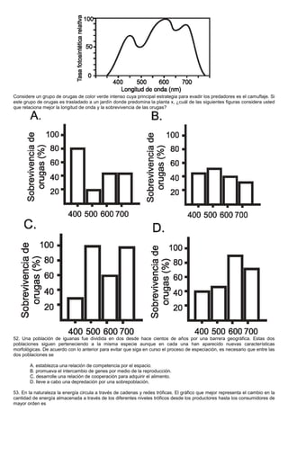 Considere un grupo de orugas de color verde intenso cuya principal estrategia para evadir los predadores es el camuflaje. Si
este grupo de orugas es trasladado a un jardín donde predomina la planta x, ¿cuál de las siguientes figuras considera usted
que relaciona mejor la longitud de onda y la sobrevivencia de las orugas?
52. Una población de iguanas fue dividida en dos desde hace cientos de años por una barrera geográfica. Estas dos
poblaciones siguen perteneciendo a la misma especie aunque en cada una han aparecido nuevas características
morfológicas. De acuerdo con lo anterior para evitar que siga en curso el proceso de especiación, es necesario que entre las
dos poblaciones se
A. establezca una relación de competencia por el espacio.
B. promueva el intercambio de genes por medio de la reproducción.
C. desarrolle una relación de cooperación para adquirir el alimento.
D. lleve a cabo una depredación por una sobrepoblación.
53. En la naturaleza la energía circula a través de cadenas y redes tróficas. El gráfico que mejor representa el cambio en la
cantidad de energía almacenada a través de los diferentes niveles tróficos desde los productores hasta los consumidores de
mayor orden es
 