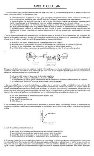 AMBITO CELULAR
1. Los glóbulos rojos son células que hacen parte del tejido sanguíneo. Si a una muestra de sangre se agrega una solución
salina muy concentrada (5%), los glóbulos rojos
A. estallarían debido a la absorción de agua, ya que el líquido circundante contiene menos sustancias disueltas que
el líquido intracelular, por tanto el agua tiende a entrar a la célula para equilibrarse con el medio externo
B. estallaría debido a la absorción de agua, ya que el líquido circundante contiene más sustancias disueltas que el
líquido intracelular, por tanto el agua tiende a entrar a la célula para equilibrarse con el medio externo
C. se deshidratarían debido a la eliminación de agua, porque el líquido circundante tiene más sustancias disueltas
que el líquido intracelular por tanto el agua tiende a salir de la célula tratando de equilibrarse con el medio externo
D. se deshidratarían debido a la eliminación de agua, porque el líquido circundante contiene menos sustancias
disueltas que el líquido intracelular, por tanto el líquido tiende a salir de la célula para equilibrarse con el medio
externo
2. En un organismo multicelular que se reproduce sexualmente; luego de la unión de las células sexuales que lo originan; las
células no sexuales comienzan a reproducirse rápidamente hasta organizarse para conformar los sistemas que constituyen
al organismo. El proceso para la formación de estas células no sexuales consiste en
A. la unión de dos células madres con igual cantidad de información genética
B. la división de una célula madre que origina dos células hijas con igual cantidad de información genética
C. la unión de una célula padre y una célula madre con la mitad de la información genética
D. la división de una célula madre que origina dos células hijas con la mitad de la información genética
3.
El esquema ilustra la secuencia más probable, desde la información de un gen hasta la utilización de las enzimas (proteínas)
digestivas producidas por la célula. Si el fósforo (P) que hace parte de las moléculas de ADN se marca con una sustancia
radiactiva, más tarde se detectará radiactividad en
A. sólo en el ADN, porque ninguna parte de él pasa al citoplasma
B. el ADN y el ARN, porque el ARN se forma de partes del ADN
C. en las proteínas, ya que los genes contenidos en el ADN contienen la información para la síntesis de proteínas
D. en los lisosomas, ya que por acción de las enzimas el fósforo es liberado
4. La anemia falciforme es una enfermedad que se produce por el cambio de un sólo aminoácido en las moléculas de
hemoglobina (encargadas de llevar oxígeno). En África donde se presenta esta enfermedad, también son altos los índices de
malaria, enfermedad causada por un parásito que reconoce y se une a los glóbulos rojos. Curiosamente las personas que
sufren de anemia falciforme no sufren de malaria, haciendo que la incidencia de personas que presentan anemia falciforme
sea muy alta. La anemia falciforme podría deberse a que en poblaciones africanas se dé una mutación en el
A. gen único responsable de la fabricación de los glóbulos rojos
B. gen de la hemoglobina
C. gen del ARN de transferencia
D. ARN ribosomal
5. La amilasa es la enzima que descompone los almidones en azúcares dobles (disacáridos). Durante un experimento se
mantiene constante la concentración de amilasa y se va aumentando la concentración de almidón, obteniendo las siguiente
gráfica.
A partir de la gráfica puede deducirse que
A. la actividad de la amilasa no es favorecida por la concentración de almidón
B. la concentración de disacáridos depende de la concentración de almidón
C. la actividad de la amilasa depende de la concentración de disacáridos
D. la concentración de disacáridos es independiente de la concentración de almidón
6. El marcaje radioactivo es un procedimiento utilizado para monitorear el camino que sigue un elemento químico dentro de
un sistema biológico. Para evidenciar la fuente de oxígeno gaseoso liberado en la fotosíntesis se realizó un experimento en
el que se colocaron algas unicelulares en cuatro cajas de petri que contenían dióxido de carbono y glucosa disueltos en
agua. En cada caja se marcó radiactivamente el oxígeno de una o de las tres sustancias anteriores, antes de ser colocadas
 