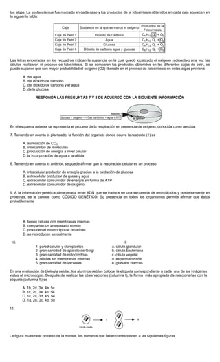 las algas. La sustancia que fue marcada en cada caso y los productos de la fotosíntesis obtenidos en cada caja aparecen en
la siguiente tabla:
Las letras encerradas en los recuadros indican la sustancia en la cual quedó localizado el oxígeno radioactivo una vez las
células realizaron el proceso de fotosíntesis. Si se comparan los productos obtenidos en las diferentes cajas de petri, se
puede suponer que con mayor probabilidad el oxígeno (O2) liberado en el proceso de fotosíntesis en estas algas proviene
A. del agua
B. del dióxido de carbono
C. del dióxido de carbono y el agua
D. de la glucosa
RESPONDA LAS PREGUNTAS 7 Y 8 DE ACUERDO CON LA SIGUIENTE INFORMACIÓN
En el esquema anterior se representa el proceso de la respiración en presencia de oxígeno, conocida como aerobia.
7. Teniendo en cuenta lo planteado, la función del organelo donde ocurre la reacción (1) es
A. asimilación de CO2
B. intercambio de moléculas
C. producción de energía a nivel celular
D. la incorporación de agua a la célula
8. Teniendo en cuenta lo anterior, se puede afirmar que la respiración celular es un proceso
A. intracelular productor de energía gracias a la oxidación de glucosa
B. extracelular productor de gases y agua
C. extracelular consumidor de energía en forma de ATP
D. extracelular consumidor de oxígeno
9. A la información genética almacenada en el ADN que se traduce en una secuencia de aminoácidos y posteriormente en
proteínas, se le conoce como CÓDIGO GENÉTICO. Su presencia en todos los organismos permite afirmar que éstos
probablemente
A. tienen células con membranas internas
B. comparten un antepasado común
C. producen el mismo tipo de proteínas
D. se reproducen sexualmente
10. II
1. pared celular y cloroplastos a. célula glandular
2. gran cantidad de aparato de Golgi b. célula bacteriana
3. gran cantidad de mitocondrias c. célula vegetal
4. células sin membranas internas d. espermatozoide
5. gran cantidad de vacuolas e. glóbulos blancos
En una evaluación de biología celular, los alumnos debían colocar la etiqueta correspondiente a cada una de las imágenes
vistas al microscopio. Después de realizar las observaciones (columna I), la forma más apropiada de relacionarlas con la
etiqueta (columna II) es
A. 1b, 2d, 3e, 4a, 5c
B. 1c, 2d, 3a, 4b, 5e
C. 1c, 2a, 3d, 4b, 5e
D. 1a, 2e, 3c, 4b, 5d
11.
La figura muestra el proceso de la mitosis, los números que faltan corresponden a las siguientes figuras
 