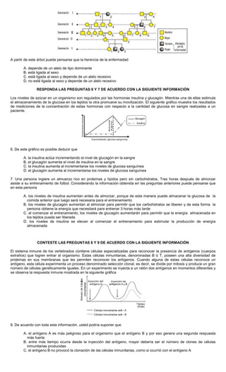 A partir de este árbol puede pensarse que la herencia de la enfermedad
A. depende de un alelo de tipo dominante
B. está ligada al sexo
C. está ligada al sexo y depende de un alelo recesivo
D. no está ligada al sexo y depende de un alelo recesivo
RESPONDA LAS PREGUNTAS 6 Y 7 DE ACUERDO CON LA SIGUIENTE INFORMACIÓN
Los niveles de azúcar en un organismo son regulados por las hormonas insulina y glucagón. Mientras una de ellas estimula
el almacenamiento de la glucosa en los tejidos la otra promueve su movilización. El siguiente gráfico muestra los resultados
de mediciones de la concentración de estas hormonas con respecto a la cantidad de glucosa en sangre realizadas a un
paciente.
6. De este gráfico es posible deducir que
A. la insulina actúa incrementando el nivel de glucagón en la sangre
B. el glucagón aumenta el nivel de insulina en la sangre
C. la insulina aumenta al incrementarse los niveles de glucosa sanguínea
D. el glucagón aumenta al incrementarse los niveles de glucosa sanguínea
7. Una persona ingiere un almuerzo rico en proteínas y lípidos pero sin carbohidratos. Tres horas después de almorzar
asiste a su entrenamiento de fútbol. Considerando la información obtenida en las preguntas anteriores puede pensarse que
en esta persona
A. los niveles de insulina aumentan antes de almorzar, porque de esta manera puede almacenar la glucosa de la
comida anterior que luego será necesaria para el entrenamiento
B. los niveles de glucagón aumentan al almorzar para permitir que los carbohidratos se liberen y de esta forma la
persona obtiene la energía que necesitará para entrenar 3 horas más tarde
C. al comenzar el entrenamiento, los niveles de glucagón aumentarán para permitir que la energía almacenada en
los tejidos pueda ser liberada
D. los niveles de insulina se elevan al comenzar el entrenamiento para estimular la producción de energía
almacenada
CONTESTE LAS PREGUNTAS 8 Y 9 DE ACUERDO CON LA SIGUIENTE INFORMACIÓN
El sistema inmune de los vertebrados contiene células especializadas para reconocer la presencia de antígenos (cuerpos
extraños) que logren entrar al organismo. Estas células inmunitarias, denominadas B ó T, poseen una alta diversidad de
proteínas en sus membranas que les permiten reconocer los antígenos. Cuando alguna de estas células reconoce un
antígeno, esta célula experimenta un proceso denominado selección clonal, es decir, se divide por mitosis y produce un gran
número de células genéticamente iguales. En un experimento se inyecta a un ratón dos antígenos en momentos diferentes y
se observa la respuesta inmune mostrada en la siguiente gráfica
8. De acuerdo con toda esta información, usted podría suponer que
A. el antígeno A es más peligroso para el organismo que el antígeno B y por eso genera una segunda respuesta
más fuerte
B. entre más tiempo ocurra desde la inyección del antígeno, mayor debería ser el número de clones de células
inmunitarias producidas
C. el antígeno B no provocó la clonación de las células inmunitarias, como si ocurrió con el antígeno A
 