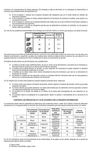 sombrero con características de ambas especies. Sin embargo si este es eliminado, en su reemplazo se desarrollará un
sombrero que probablemente corresponderá con
A. el de la especie 1, porque fue la especie donadora del citoplasma que es el medio donde se realizan las
reacciones celulares
B. el de la especie 2, porque el núcleo siempre determina la formación de sombrero en pétalo, pues ayuda a su
movimiento en el mar
C. el de la especie 2, porque fue la especie donadora del núcleo que es el que contiene la información respecto a
las características del organismo
D. el de la especie 1, porque su citoplasma permite que se desarrolle el sombrero en sombrilla, el cual ayuda a
resistir mejor las corrientes
22. Uno de los problemas fundamentales de la biología es el tamaño máximo y mínimo que alcanza una célula funcional.
Se suelen buscar los límites en parámetros físicos o químicos a los cuales están sujetos los seres vivos. Uno de ellos es la
relación entre tamaño y superficie. La tabla nos muestra como cambia la relación entre el volumen de una célula (V) y la
superficie total de su membrana (S.T.M.) a medida que la célula va aumentando de tamaño
El análisis de estos datos nos permite pensar que, posiblemente
A. la célula no puede crecer indefinidamente, ya que su única vía de alimentación y excreción es la membrana y,
ésta disminuye en proporción al volumen de la masa por alimentar
B. a medida que la célula decrece en tamaño, su gran superficie de membrana le impide mantener el equilibrio
interno por la entrada de sustancias en exceso
C. a medida que la célula crece, tiene menos necesidad de área de membrana y por eso la va reduciendo en
proporción al volumen
D. las células no pueden ser tan pequeñas, porque su superficie total de membrana cada vez es más pequeña y
termina por no alcanzarle para mantener sus funciones
23. En relación con el mismo tema podemos suponer respecto al tamaño de la célula que
A. la misma razón que explica el limitante del tamaño máximo explica el limitante del tamaño mínimo que puede
presentar una célula
B. el mínimo tamaño que puede presentar una célula está limitado por los elementos mínimos que debe contener
una célula para desarrollar sus funciones vitales
C. un aumento en la división de trabajo en el interior de la célula está acompañado de una reducción en su
tamaño
D. la evolución hacia la complejidad en la organización celular no parece ir acompañada de un aumento en el
tamaño
CONTESTE LAS PREGUNTAS 24 Y 25 DE ACUERDO CON LA SIGUIENTE INFORMACIÓN
La membrana celular tiene la capacidad de seleccionar qué sustancias entran y salen de la célula a través de diferentes
mecanismos. En la siguiente tabla se resumen las condiciones necesarias para que algunas sustancias entren a la célula.
Concentración
en el exterior
celular
Concentración
en el interior
celular
Parte de la
membrana
que
atraviesan
Requerimiento
de energía
como ATP
Tipo de
transporte
Agua Mayor Menor
Bicapa de
lípidos
No Difusión simple
Aminoácidos Mayor Menor
Proteína de
membrana
No
Difusión
facilitada
Na
+ Cualquiera
diferente de O
Cualquiera
Proteína de
membrana
Si
Transporte
activo
Urea Mayor Menor
Bicapa de
lípidos
No Difusión simple
Glucosa Mayor Menor
Proteína de
membrana
No
Difusión
facilitada
SUSTANCIAS
l
- Cualquiera
diferente de O
Cualquiera
Proteína de
membrana
Si
Transporte
activo
24. El 2-4 dinitrofenol inhibe el funcionamiento de las mitocondrias. Si se aplica en las células, después de un tiempo se
observará que dejó de entrar a la célula
A. agua y úrea
B. Glucosa, aminoácidos, agua y úrea
 
