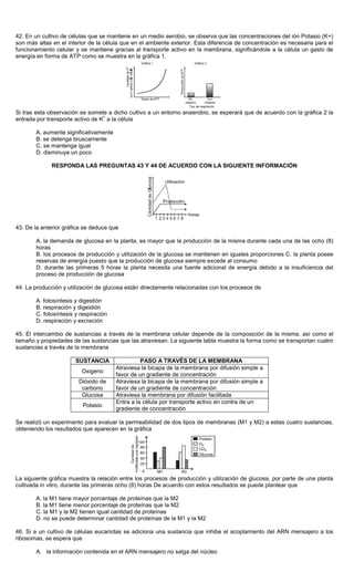 42. En un cultivo de células que se mantiene en un medio aerobio, se observa que las concentraciones del ión Potasio (K+)
son más altas en el interior de la célula que en el ambiente exterior. Esta diferencia de concentración es necesaria para el
funcionamiento celular y se mantiene gracias al transporte activo en la membrana, significándole a la célula un gasto de
energía en forma de ATP como se muestra en la gráfica 1.
Si tras esta observación se somete a dicho cultivo a un entorno anaerobio, se esperará que de acuerdo con la gráfica 2 la
entrada por transporte activo de K
+
a la célula
A. aumente significativamente
B. se detenga bruscamente
C. se mantenga igual
D. disminuya un poco
RESPONDA LAS PREGUNTAS 43 Y 44 DE ACUERDO CON LA SIGUIENTE INFORMACIÓN
43. De la anterior gráfica se deduce que
A. la demanda de glucosa en la planta, es mayor que la producción de la misma durante cada una de las ocho (8)
horas
B. los procesos de producción y utilización de la glucosa se mantienen en iguales proporciones C. la planta posee
reservas de energía puesto que la producción de glucosa siempre excede al consumo
D. durante las primeras 5 horas la planta necesita una fuente adicional de energía debido a la insuficiencia del
proceso de producción de glucosa
44. La producción y utilización de glucosa están directamente relacionadas con los procesos de
A. fotosíntesis y digestión
B. respiración y digestión
C. fotosíntesis y respiración
D. respiración y excreción
45. El intercambio de sustancias a través de la membrana celular depende de la composición de la misma, así como el
tamaño y propiedades de las sustancias que las atraviesan. La siguiente tabla muestra la forma como se transportan cuatro
sustancias a través de la membrana
SUSTANCIA PASO A TRAVÉS DE LA MEMBRANA
Oxigeno
Atraviesa la bicapa de la membrana por difusión simple a
favor de un gradiente de concentración
Dióxido de
carbono
Atraviesa la bicapa de la membrana por difusión simple a
favor de un gradiente de concentración
Glucosa Atraviesa la membrana por difusión facilitada
Potasio
Entra a la célula por transporte activo en contra de un
gradiente de concentración
Se realizó un experimento para evaluar la permeabilidad de dos tipos de membranas (M1 y M2) a estas cuatro sustancias,
obteniendo los resultados que aparecen en la gráfica
La siguiente gráfica muestra la relación entre los procesos de producción y utilización de glucosa, por parte de una planta
cultivada in vitro, durante las primeras ocho (8) horas De acuerdo con estos resultados se puede plantear que
A. la M1 tiene mayor porcentaje de proteínas que la M2
B. la M1 tiene menor porcentaje de proteínas que la M2
C. la M1 y la M2 tienen igual cantidad de proteínas
D. no se puede determinar cantidad de proteínas de la M1 y la M2
46. Si a un cultivo de células eucariotas se adiciona una sustancia que inhibe el acoplamiento del ARN mensajero a los
ribosomas, se espera que
A. la información contenida en el ARN mensajero no salga del núcleo
 
