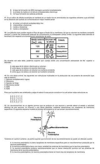 B. la tasa de formación de ARN mensajero aumente inmediatamente
C. la síntesis de lípidos en el retículo endoplasmático disminuya
D. no haya formación de cadenas proteicas
47. Si un cultivo de células eucariotas se mantiene en un medio rico en aminoácidos los organélos celulares cuya actividad
en la utilización del sustrato se ve favorecida en mayor medida serían
A. el núcleo y el retículo endoplasmático liso
B. mitocondrias y lisosomas
C. núcleo y ribosomas
D. núcleo y cloroplastos
48. Los glóbulos rojos pueden regular el flujo de agua a través de su membrana, tal que su volumen se mantiene constante
siempre y cuando las condiciones externas de concentración no sobrepasen ciertos límites. La siguiente tabla describe el
fenómeno con respecto a la concentración extracelular de sodio.
De acuerdo con esta tabla, podemos suponer que cuando existe una concentración extracelular de Na
+
superior a
900mM/L
A. sale agua de la célula y disminuye su volumen.
B. entra agua a la célula y el volumen disminuye.
C. sale agua de la célula y el volumen se mantiene constante.
D. entra agua a la célula y el volumen se mantiene constante.
49. En una célula animal, las siguientes son estructuras implicadas en la producción de una proteína de secreción (que
sale al exterior):
1. Retículo endoplásmatico rugoso
2. Ribosoma
3. Aparato de Golgi
4. Membrana celular
5. ARN
6. ADN
Para que la proteína sea sintetizada y salga al exterior la secuencia correcta en la cual actúan estas estructuras es
A. 6, 5, 2, 3, 1, 4
B. 6, 5, 1, 2, 3, 4
C. 6, 5, 2, 1, 3, 4
D. 6, 5, 3, 2, 1, 4
50. Un neurotransmisor es un agente químico que se produce en una neurona y permite alterar el estado o actividad
eléctrica de otra neurona, un músculo o una célula glandular, mediante interacciones con receptores de membrana
específicos. El siguiente esquema muestra el proceso de sinapsis en el cual actúan neurotransmisores
Teniendo en cuenta lo anterior, se podría suponer que la función de los neurotransmisores se puede ver alterada cuando
A. la neurona presináptica no tiene receptores de membrana específicos para un neurotransmisor producido por la
neurona postsináptica.
B. la neurona postsináptica tiene una mayor variedad de proteínas de membrana que la neurona presináptica.
C. la neurona presináptica produce neurotransmisores que no tienen interacción química con las proteínas de
membrana de la neurona postsináptica.
D. la neurona postsináptica y la neurona presináptica tienen el mismo tipo de receptores de membrana.
 