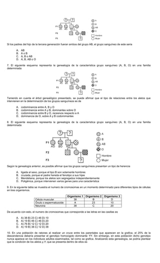 Si los padres del hijo de la tercera generación fueran ambos del grupo AB, el grupo sanguíneo de este seria
A. AB
B. A o B
C. A, B o AB
D. A, B, AB o O
7. El siguiente esquema representa la genealogía de la característica grupo sanguíneo (A, B, O) en una familia
determinada
Teniendo en cuenta el árbol genealógico presentado, se puede afirmar que el tipo de relaciones entre los alelos que
intervienen en la determinación de los grupos sanguíneos es de
A. codominancia entre A, B y O
B. codominancia entre A y B, dominantes sobre O
C. codominancia entre B y O, recesivos respecto a A
D. dominancia de O, sobre A y B codomimantes
8. El siguiente esquema representa la genealogía de la característica grupo sanguíneo (A, B, O) en una familia
determinada
Según la genealogía anterior, es posible afirmar que los grupos sanguíneos presentan un tipo de herencia
A. ligada al sexo, porque el tipo B son solamente hombres
B. cruzada, porque el padre hereda el fenotipo a sus hijas
C. Mendeliana, porque los alelos son segregados independientemente
D. Poligénica, porque intervienen varios genes para una característica
9. En la siguiente tabla se muestra el numero de cromosomas en un momento determinado para diferentes tipos de células
en tres organismos.
Organismo 1 Organismo 2 Organismo 3
Célula muscular 38 B D
Óvulo o espermatozoide A 23 10
Neurona 38 C 20
De acuerdo con esto, el numero de cromosomas que corresponde a las letras en las casillas es
A. A) 38 B) 23 C) 46 D) 10
B. A) 19 B) 46 C) 46 D) 20
C. A) 76 B) 12 C) 12 D) 20
D. A) 19 B) 38 C) 12 D) 38
10. En una población de ratones al realizar un cruce entre los parentales que aparecen en la grafica, el 25% de la
descendencia debería presentar el genotipo homocigoto dominante YY. Sin embargo, en esta población dicho genotipo
nunca aparece en los individuos adultos examinados, tal como se grafica. Analizando esta genealogía, se podría plantear
que la condición de los alelos y,Y, que se presenta dentro de ellos es
 