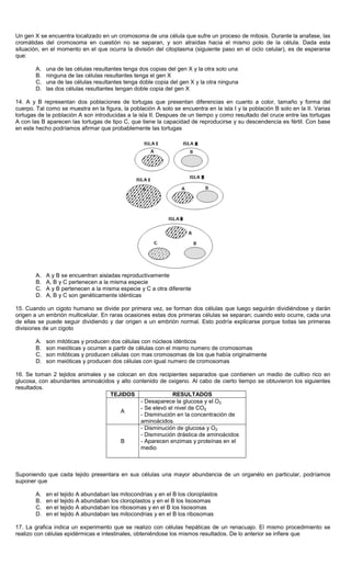 Un gen X se encuentra localizado en un cromosoma de una célula que sufre un proceso de mitosis. Durante la anafase, las
cromátidas del cromosoma en cuestión no se separan, y son atraídas hacia el mismo polo de la célula. Dada esta
situación, en el momento en el que ocurra la división del citoplasma (siguiente paso en el ciclo celular), es de esperarse
que:
A. una de las células resultantes tenga dos copias del gen X y la otra solo una
B. ninguna de las células resultantes tenga el gen X
C. una de las células resultantes tenga doble copia del gen X y la otra ninguna
D. las dos células resultantes tengan doble copia del gen X
14. A y B representan dos poblaciones de tortugas que presentan diferencias en cuanto a color, tamaño y forma del
cuerpo. Tal como se muestra en la figura, la población A solo se encuentra en la isla I y la población B solo en la II. Varias
tortugas de la población A son introducidas a la isla II. Despues de un tiempo y como resultado del cruce entre las tortugas
A con las B aparecen las tortugas de tipo C, que tiene la capacidad de reproducirse y su descendencia es fértil. Con base
en este hecho podríamos afirmar que probablemente las tortugas
A. A y B se encuentran aisladas reproductivamente
B. A, B y C pertenecen a la misma especie
C. A y B pertenecen a la misma especie y C a otra diferente
D. A, B y C son genéticamente idénticas
15. Cuando un cigoto humano se divide por primera vez, se forman dos células que luego seguirán dividiéndose y darán
origen a un embrión multicelular. En raras ocasiones estas dos primeras células se separan; cuando esto ocurre, cada una
de ellas se puede seguir dividiendo y dar origen a un embrión normal. Esto podría explicarse porque todas las primeras
divisiones de un cigoto
A. son mitóticas y producen dos células con núcleos idénticos
B. son meióticas y ocurren a partir de células con el mismo numero de cromosomas
C. son mitóticas y producen células con mas cromosomas de los que había originalmente
D. son meióticas y producen dos células con igual numero de cromosomas
16. Se toman 2 tejidos animales y se colocan en dos recipientes separados que contienen un medio de cultivo rico en
glucosa, con abundantes aminoácidos y alto contenido de oxigeno. Al cabo de cierto tiempo se obtuvieron los siguientes
resultados.
TEJIDOS RESULTADOS
A
- Desaparece la glucosa y el O2
- Se elevó el nivel de CO2
- Disminución en la concentración de
aminoácidos
B
- Disminución de glucosa y O2
- Disminución drástica de aminoácidos
- Aparecen enzimas y proteínas en el
medio
Suponiendo que cada tejido presentara en sus células una mayor abundancia de un organélo en particular, podríamos
suponer que
A. en el tejido A abundaban las mitocondrias y en el B los cloroplastos
B. en el tejido A abundaban los cloroplastos y en el B los lisosomas
C. en el tejido A abundaban los ribosomas y en el B los lisosomas
D. en el tejido A abundaban las mitocondrias y en el B los ribosomas
17. La grafica indica un experimento que se realizo con células hepáticas de un renacuajo. El mismo procedimiento se
realizo con células epidérmicas e intestinales, obteniéndose los mismos resultados. De lo anterior se infiere que
 