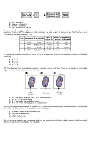 A. luz y cloroplasto
B. oxigeno y mitocondria
C. clorofila y cloroplasto
D. gas carbónico y mitocondria
41. Una sucesión ecológica implica una secuencia de cambios temporales de la estructura y composición de una
comunidad despues de una perturbación del ecosistema. El área puede ser colonizada por varias especies que
gradualmente son reemplazados por otras.
Si unas plantas tienen las características que se indican en la tabla, usted esperaría que la sucesión presentara la siguiente
secuencia
A. 1, 4, 3, 2
B. 2, 4, 3, 1
C. 4, 2, 3, 1
D. 3, 1, 2, 4
42. En un laboratorio se tenían células animales y vegetales pero se revolvieron. Ahora un investigador ha identificado
algunas estructuras, con las cuales podría decirse que
A. 1 y 2 son células vegetales, pero 3 no se puede determinar
B. 1, 2 y 3 son células vegetales
C. 1 y 3 son células animales y 2 es vegetal
D. 1 y 3 son células animales y 2 no se puede terminar
43. Si un cultivo de células eucariotas se mantiene en un medio rico en aminoácidos los organélos celulares cuya actividad
en la utilización del sustrato se ve favorecida en mayor medida serian
A. el núcleo y el retículo endoplasma tico liso
B. mitocondrias y lisosomas
C. núcleo y ribosomas
D. núcleo y cloroplastos
44. Las hormonas vegetales son compuestos orgánicos que pueden producir efectos notables sobre el metabolismo y el
crecimiento celular aun en cantidades muy reducidas.
 